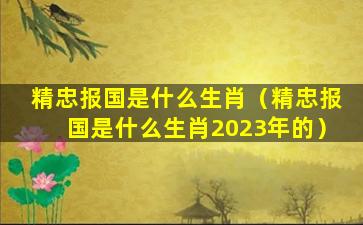 精忠报国是什么生肖（精忠报国是什么生肖2023年的）