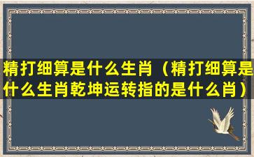 精打细算是什么生肖（精打细算是什么生肖乾坤运转指的是什么肖）