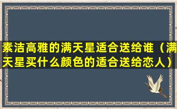 素洁高雅的满天星适合送给谁（满天星买什么颜色的适合送给恋人）