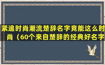 紧追时尚潮流楚辞名字竟能这么时尚（60个来自楚辞的经典好名字）