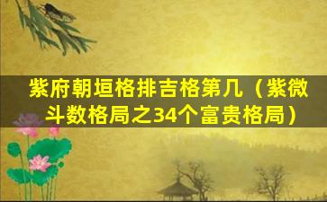 紫府朝垣格排吉格第几（紫微斗数格局之34个富贵格局）