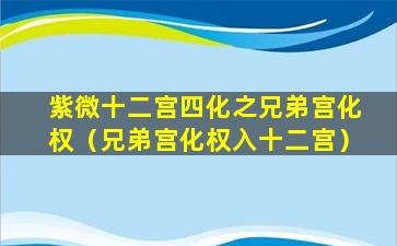 紫微十二宫四化之兄弟宫化权（兄弟宫化权入十二宫）