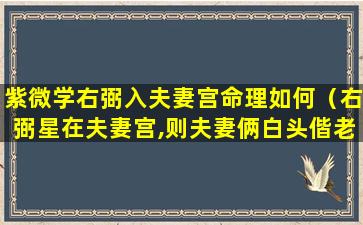 紫微学右弼入夫妻宫命理如何（右弼星在夫妻宫,则夫妻俩白头偕老）