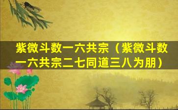 紫微斗数一六共宗（紫微斗数一六共宗二七同道三八为朋）