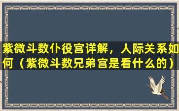 紫微斗数仆役宫详解，人际关系如何（紫微斗数兄弟宫是看什么的）