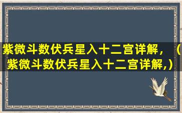 紫微斗数伏兵星入十二宫详解，（紫微斗数伏兵星入十二宫详解,）