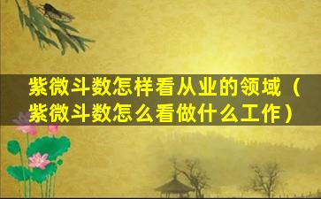 紫微斗数怎样看从业的领域（紫微斗数怎么看做什么工作）