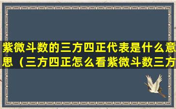 紫微斗数的三方四正代表是什么意思（三方四正怎么看紫微斗数三方四正的解读）