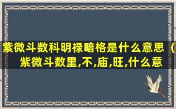 紫微斗数科明禄暗格是什么意思（紫微斗数里,不,庙,旺,什么意思）