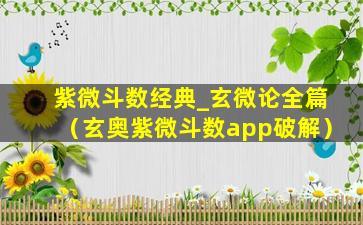 紫微斗数经典_玄微论全篇（玄奥紫微斗数app破解）