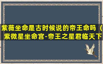 紫薇坐命是古时候说的帝王命吗（紫微星坐命宫-帝王之星君临天下）