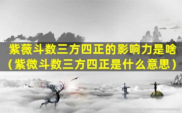 紫薇斗数三方四正的影响力是啥（紫微斗数三方四正是什么意思）