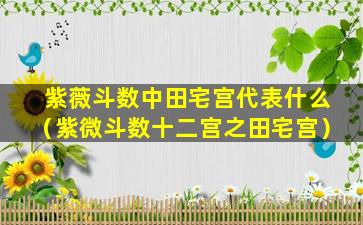 紫薇斗数中田宅宫代表什么（紫微斗数十二宫之田宅宫）