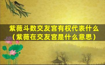 紫薇斗数交友宫有权代表什么（紫薇在交友宫是什么意思）