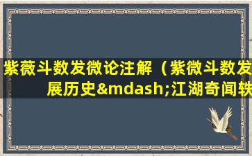 紫薇斗数发微论注解（紫微斗数发展历史—江湖奇闻轶事遗珍录）