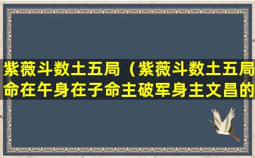 紫薇斗数土五局（紫薇斗数土五局命在午身在子命主破军身主文昌的意思）