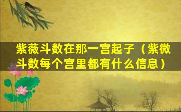 紫薇斗数在那一宫起子（紫微斗数每个宫里都有什么信息）