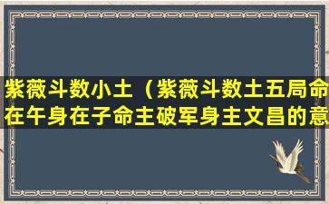 紫薇斗数小土（紫薇斗数土五局命在午身在子命主破军身主文昌的意思）