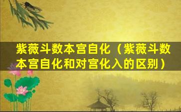 紫薇斗数本宫自化（紫薇斗数本宫自化和对宫化入的区别）