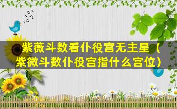 紫薇斗数看仆役宫无主星（紫微斗数仆役宫指什么宫位）