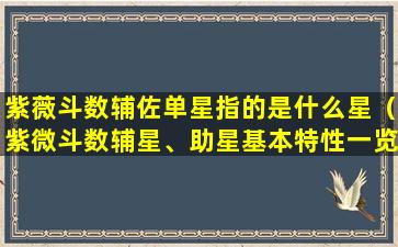 紫薇斗数辅佐单星指的是什么星（紫微斗数辅星、助星基本特性一览）