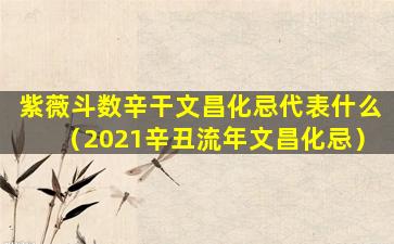 紫薇斗数辛干文昌化忌代表什么（2021辛丑流年文昌化忌）