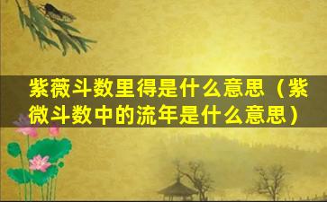 紫薇斗数里得是什么意思（紫微斗数中的流年是什么意思）