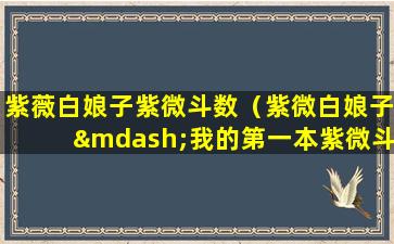 紫薇白娘子紫微斗数（紫微白娘子—我的第一本紫微斗数书）