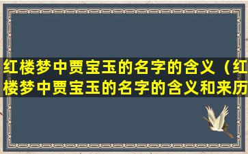 红楼梦中贾宝玉的名字的含义（红楼梦中贾宝玉的名字的含义和来历）