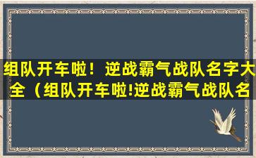 组队开车啦！逆战霸气战队名字大全（组队开车啦!逆战霸气战队名字大全）