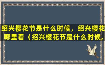 绍兴樱花节是什么时候，绍兴樱花哪里看（绍兴樱花节是什么时候,绍兴樱花哪里看）