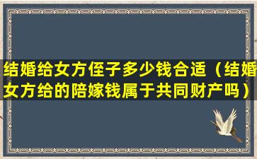 结婚给女方侄子多少钱合适（结婚女方给的陪嫁钱属于共同财产吗）