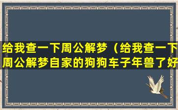 给我查一下周公解梦（给我查一下周公解梦自家的狗狗车子年兽了好不好）