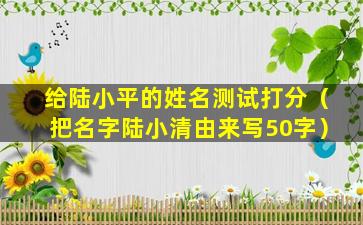 给陆小平的姓名测试打分（把名字陆小清由来写50字）