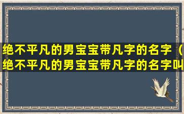 绝不平凡的男宝宝带凡字的名字（绝不平凡的男宝宝带凡字的名字叫什么）