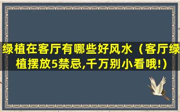 绿植在客厅有哪些好风水（客厅绿植摆放5禁忌,千万别小看哦!）