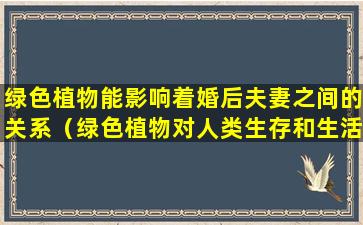 绿色植物能影响着婚后夫妻之间的关系（绿色植物对人类生存和生活有重大影响,它能）