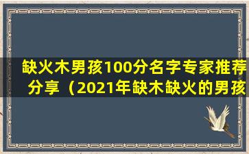 缺火木男孩100分名字专家推荐分享（2021年缺木缺火的男孩名字大全）