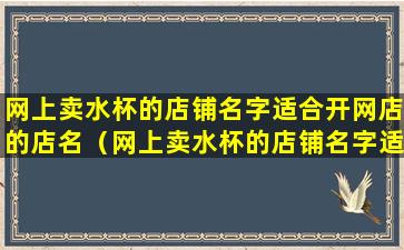 网上卖水杯的店铺名字适合开网店的店名（网上卖水杯的店铺名字适合开网店的店名叫什么）