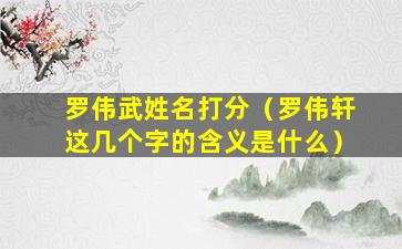 罗伟武姓名打分（罗伟轩这几个字的含义是什么）