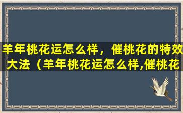 羊年桃花运怎么样，催桃花的特效大法（羊年桃花运怎么样,催桃花的特效大法）