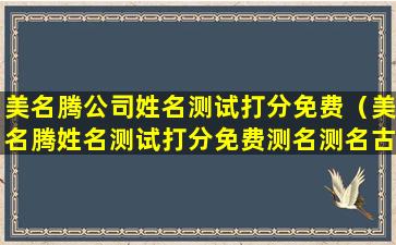 美名腾公司姓名测试打分免费（美名腾姓名测试打分免费测名测名古添君）