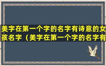 美字在第一个字的名字有诗意的女孩名字（美字在第一个字的名字有诗意的女孩名字是什么）