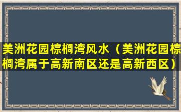 美洲花园棕榈湾风水（美洲花园棕榈湾属于高新南区还是高新西区）