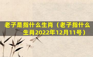 老子是指什么生肖（老子指什么生肖2022年12月11号）