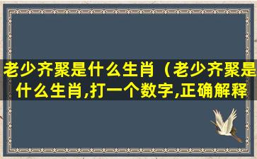 老少齐聚是什么生肖（老少齐聚是什么生肖,打一个数字,正确解释落实）