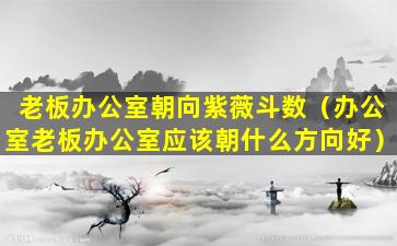 老板办公室朝向紫薇斗数（办公室老板办公室应该朝什么方向好）