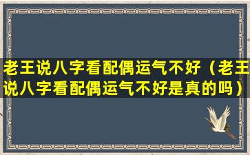 老王说八字看配偶运气不好（老王说八字看配偶运气不好是真的吗）