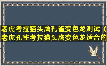 老虎考拉猫头鹰孔雀变色龙测试（老虎孔雀考拉猫头鹰变色龙适合的工作岗位）