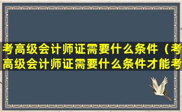 考高级会计师证需要什么条件（考高级会计师证需要什么条件才能考）